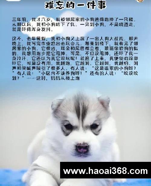 难忘的一件事