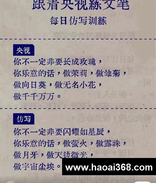 每日仿写训练✍️