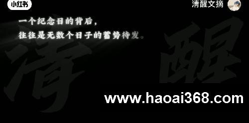 高分作文素材「央视金句」