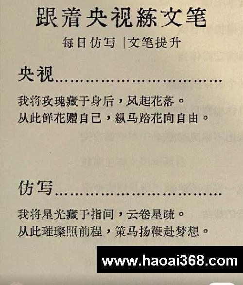 每日文笔练习