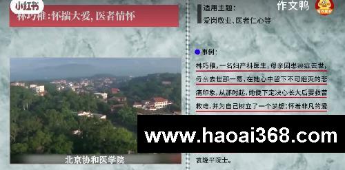 惊鸿一瞥的人物作文素材，小众又好用