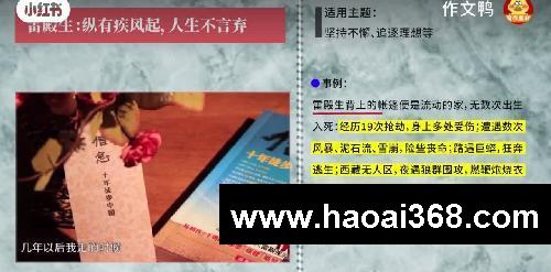 惊鸿一瞥的人物作文素材,小众又好用