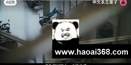 作文55+关键门槛❗骚到阅卷老师的野路子