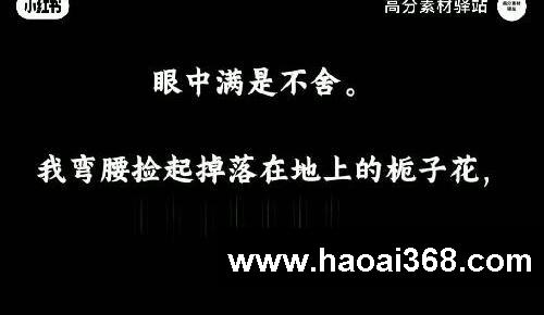万能开头和结尾，真的太高级了