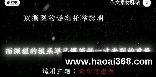 【作文素材】“《人民日报》顶级过度金句”