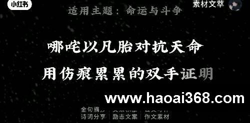 我命由我不由天，如何把哪吒之魔童闹海写进作文 适用主题：命运与斗争#命运 #斗争 #哪吒之魔童闹海 #作文素材 #哪吒  #高考素材 #高考作文素材 #魔童闹海 #哪吒观后感