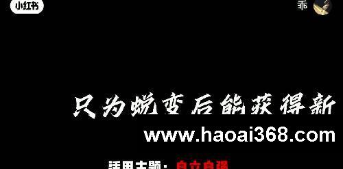 【作文素材】“那些落笔即升华的顶级文笔”