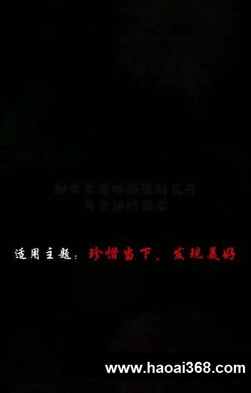 作文素材】主题:珍惜当下,发现美好