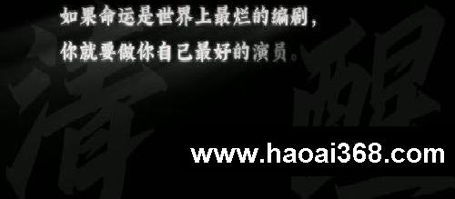 高分作文素材「央视金句」