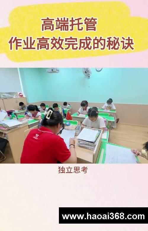 高端托管,作业高效秘诀!看完视频你就懂了