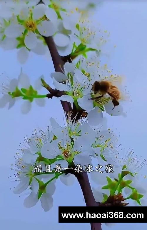每次讲到动情时候,情绪也难以自抑