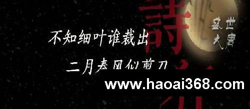 大唐盛世的神仙打架，你最喜欢谁的诗？