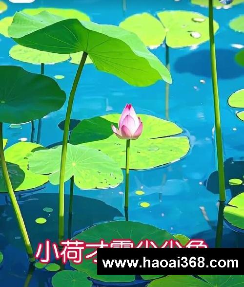 ?【AI古诗】第6首|《小池》