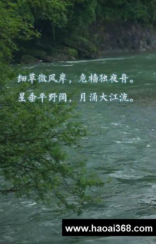 一首《旅夜书怀》读懂杜甫
