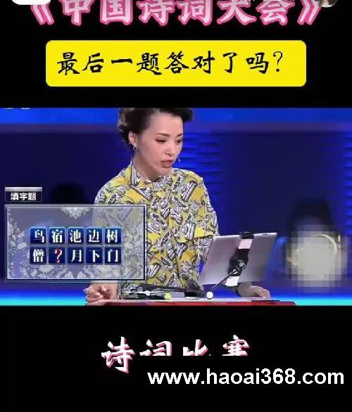 中国诗词大会
