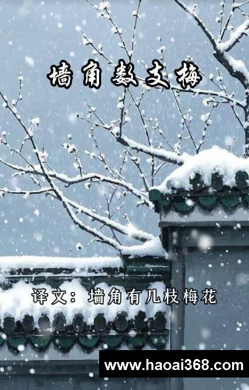 沉浸式解析<梅花>,作文高分素材+1