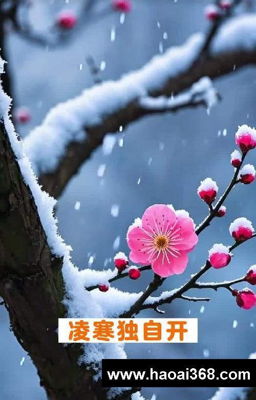 儿童古诗启蒙!《梅花》宋·王安石