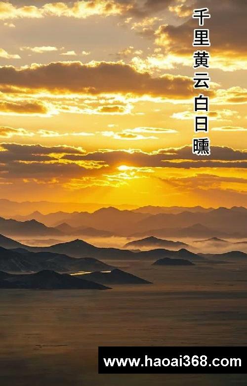 古诗唱读《别董大》高适 四年级上 必背启蒙