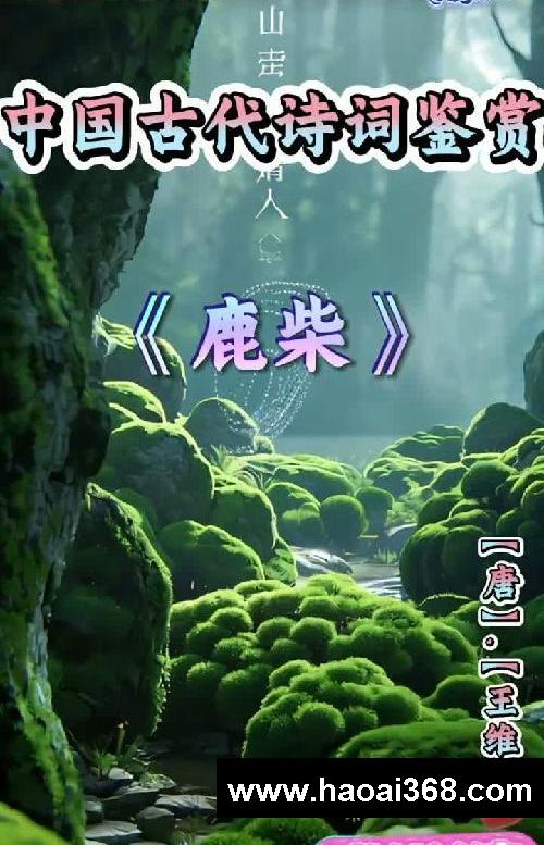 #中国古诗词鉴赏 #唐诗三百首 #古诗词赏析