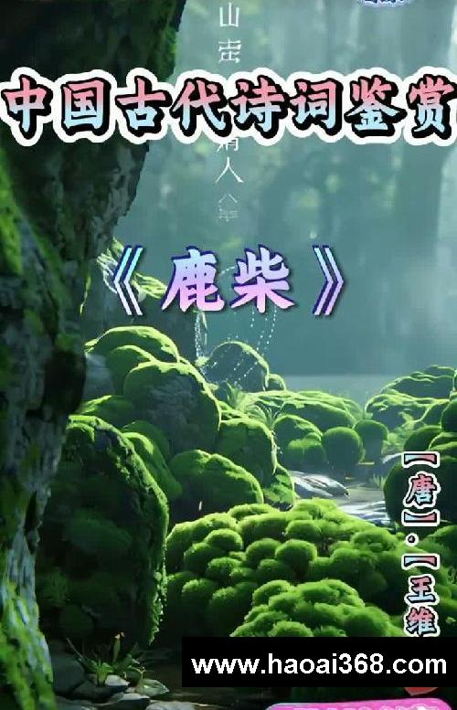 #中国古诗词鉴赏 #唐诗三百首 #古诗词赏析